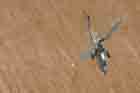 AH-1W Photo
