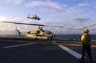 AH-1W Photo
