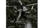 AH-64 Photo