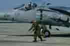 AV-8B Photo
