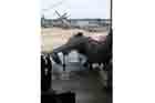 AV-8B Photo