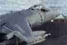 AV-8B Photo