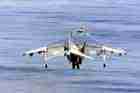 AV-8B Photo