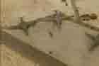 B-1 Photo