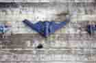 B-2 Photo