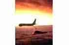 B-2 Photo