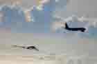 B-2 Photo