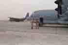 KC-130 Photo