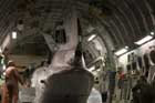 C-17 Photo