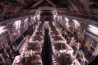 C-17 Photo