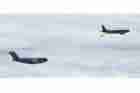 C-17 Photo