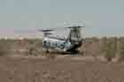CH-46 Photo