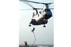 CH-46 Photo
