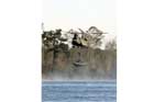 CH-47 Photo