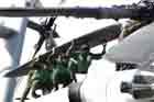 CH-53E Photo