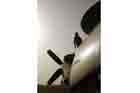 E-2C Photo