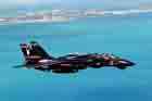 F-14 Photo