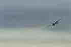 F-14 Photo