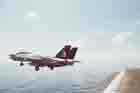 F-14 Photo