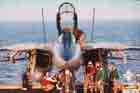 F-14 Photo