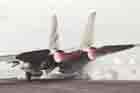 F-14 Photo