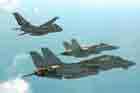 F-14 Photo