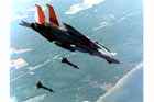 F-14 Photo
