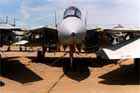 F-14 Photo