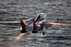 F-14 Photo