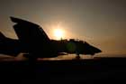 F-14 Photo