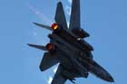 F-14 Photo