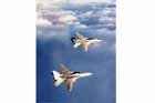 F-14 Photo