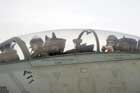 F-14 Photo