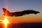 F-14 Photo