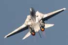 F-14 Photo