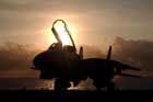 F-14 Photo