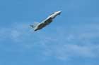F-14 Photo