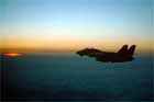 F-14 Photo