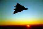 F-14 Photo