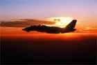 F-14 Photo