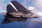 F-14 Photo