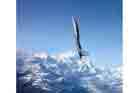 F-15 Photo