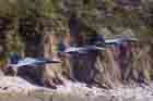 F-15E Photo