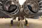 F-15E Photo