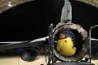 F-16 Photo