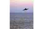 F/A-18 Photo