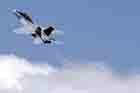F/A-18 Photo