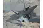 F-22 Photo