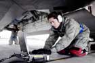 F-22 Photo