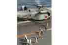 MH-53E Photo